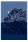 Marimekko. 100 Postcards