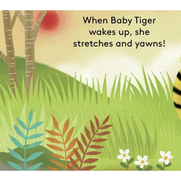 Baby Tiger: Finger Puppet Book