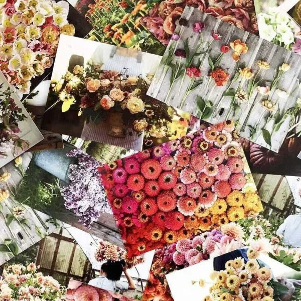 Floret Farm's Cut Flower Garden 100 Postcards