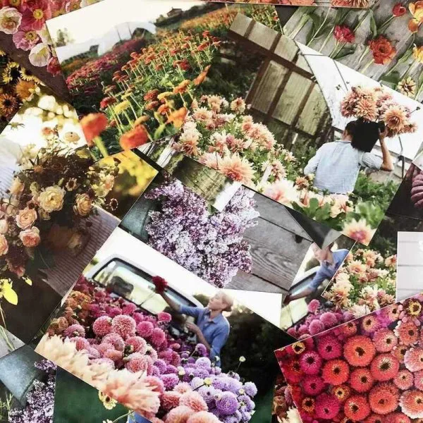 Floret Farm's Cut Flower Garden 100 Postcards