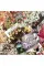 Floret Farm's Cut Flower Garden 100 Postcards
