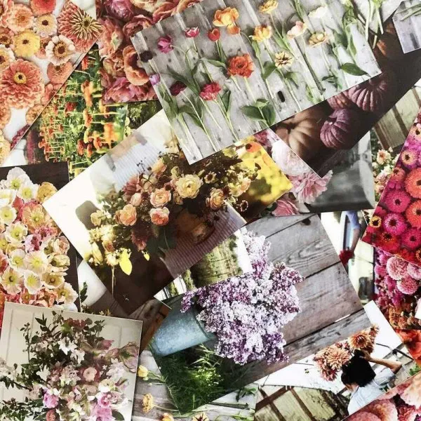 Floret Farm's Cut Flower Garden 100 Postcards