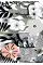 Marimekko. 50 Postcards