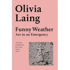 Funny Weather. Olivia Laing
