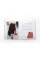 Fashion Bags and Accessories: Creative Design and Production
