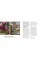 Regenerative Fashion: A Nature-based Approach to Fibres, Livelihoods and Leadership