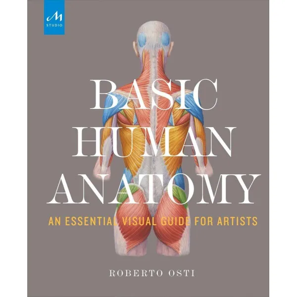 Basic Human Anatomy. An Essential Visual Guide for Artists