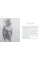 The Figurative Artist's Handbook