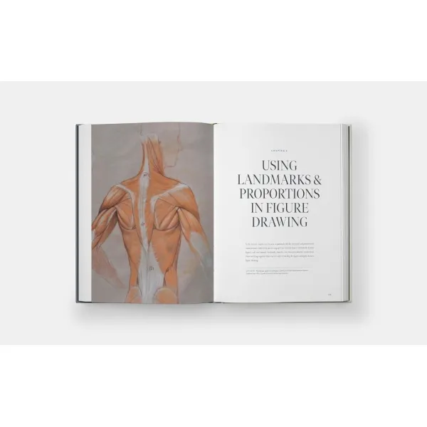 Dynamic Human Anatomy. Roberto Osti