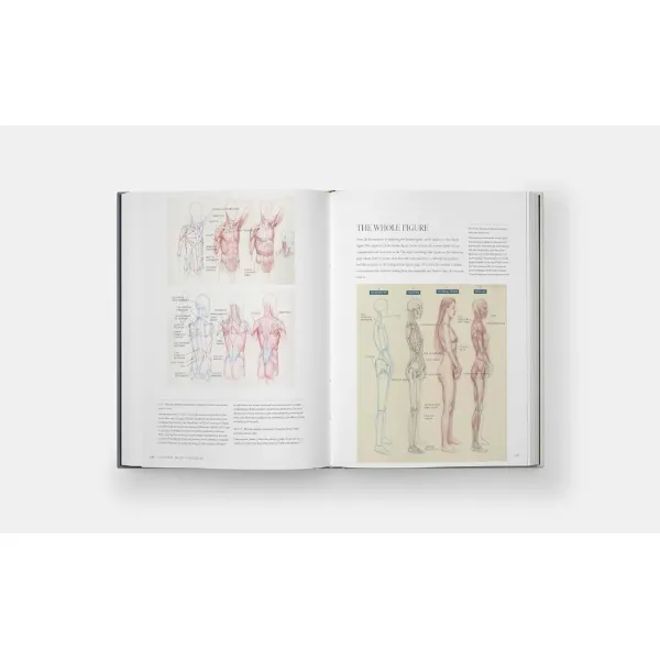 Dynamic Human Anatomy. Roberto Osti