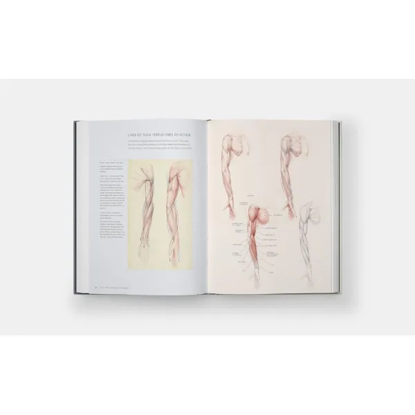 Dynamic Human Anatomy. Roberto Osti