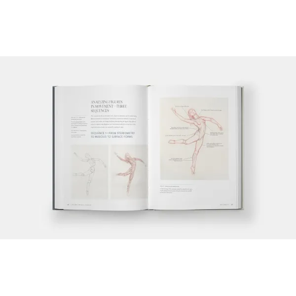 Dynamic Human Anatomy. Roberto Osti