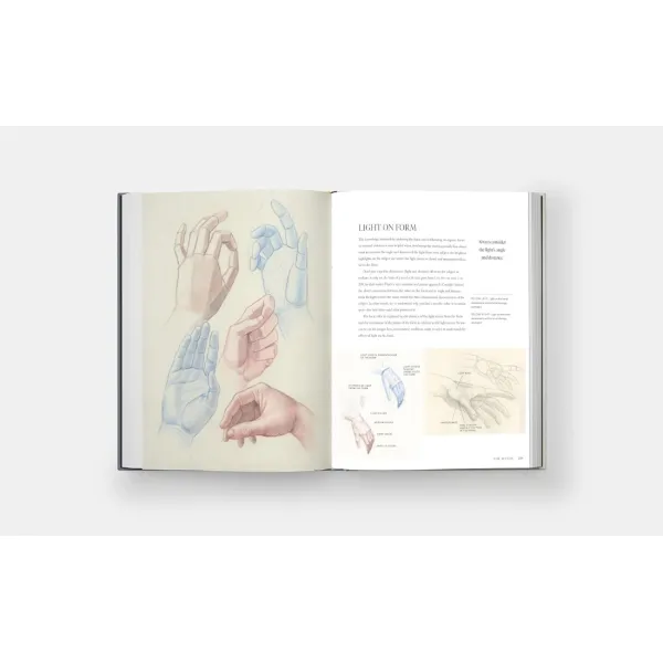 Dynamic Human Anatomy. Roberto Osti