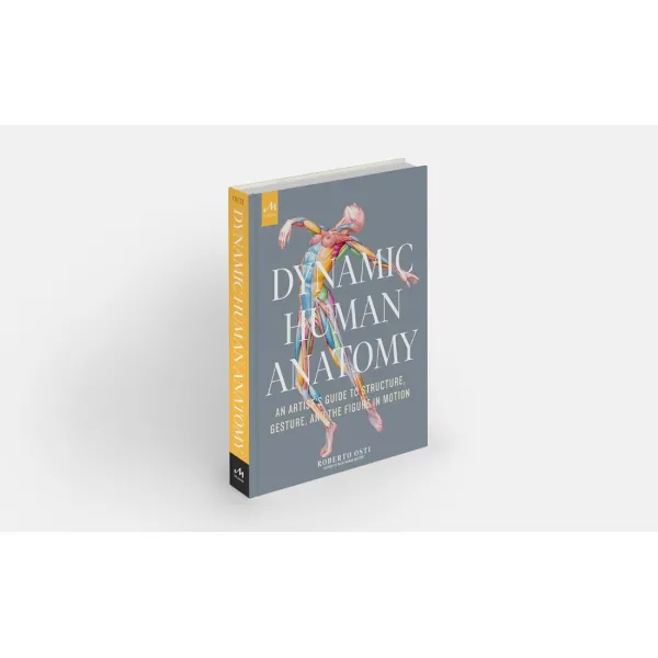 Dynamic Human Anatomy. Roberto Osti