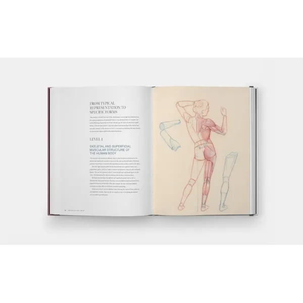 Drawing the Body. Roberto Osti