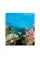 Fifty Places to Dive Before You Die: Diving Experts Share the World's Greatest Destinations