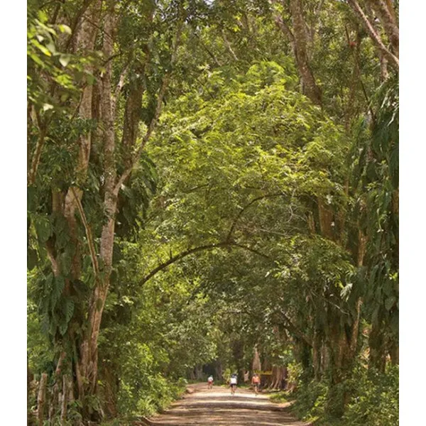Fifty Places to Bike Before You Die . Biking Experts Share the World's Greatest Destinations