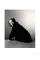 Irving Penn Centennial