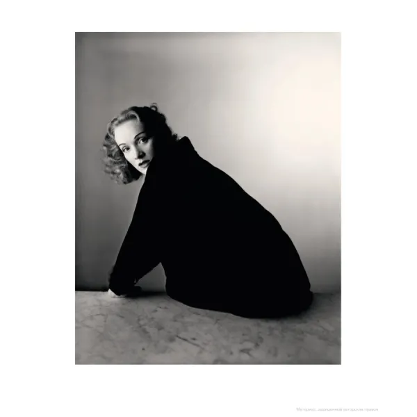 Irving Penn Centennial