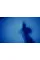 Blue. Derek Jarman