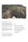 Rewild. Stories and Inspiration for the Modern Adventurer