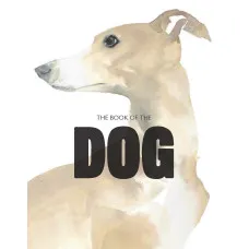 The Book of the Dog : Dogs in Art