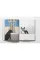 The Book of the Dog : Dogs in Art
