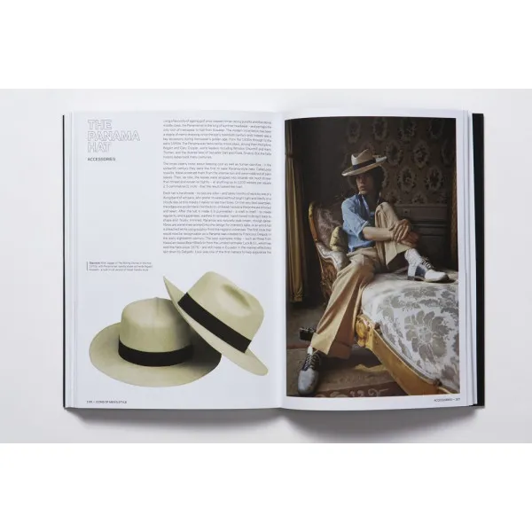 Icons of Men's Style mini