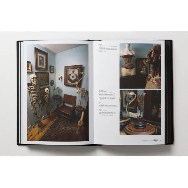 Morbid Curiosities : Collections of the Uncommon and the Bizarre