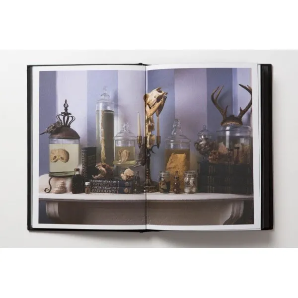 Morbid Curiosities : Collections of the Uncommon and the Bizarre