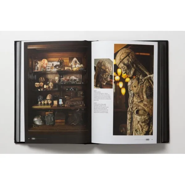 Morbid Curiosities : Collections of the Uncommon and the Bizarre