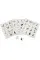 Cat Bingo (game)