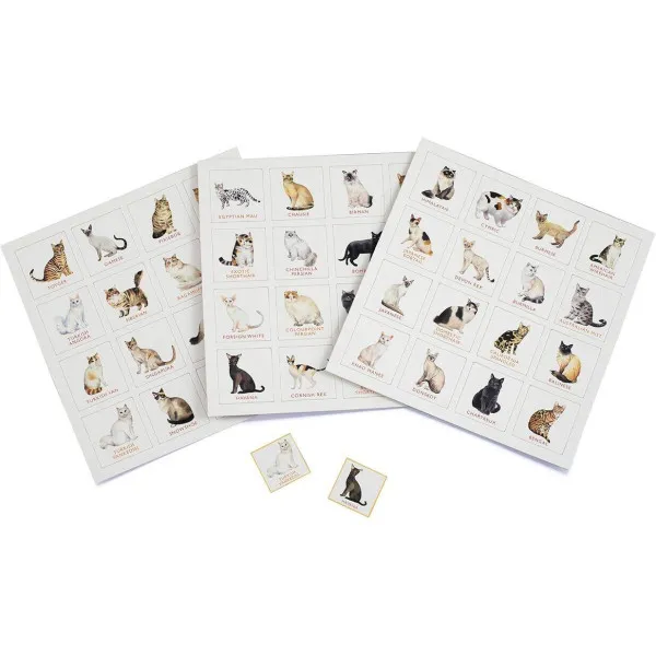 Cat Bingo (game)