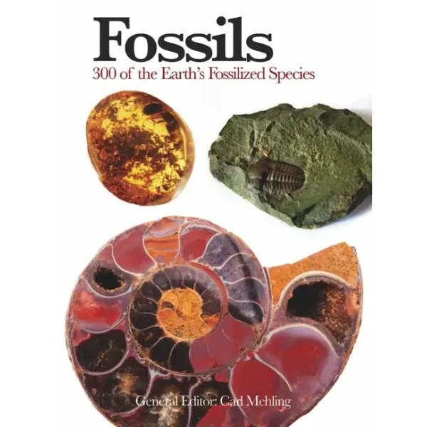 Fossils
