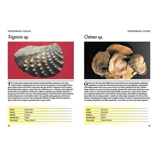Fossils