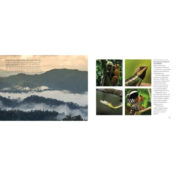 Thailand. Visual Explorer Guide