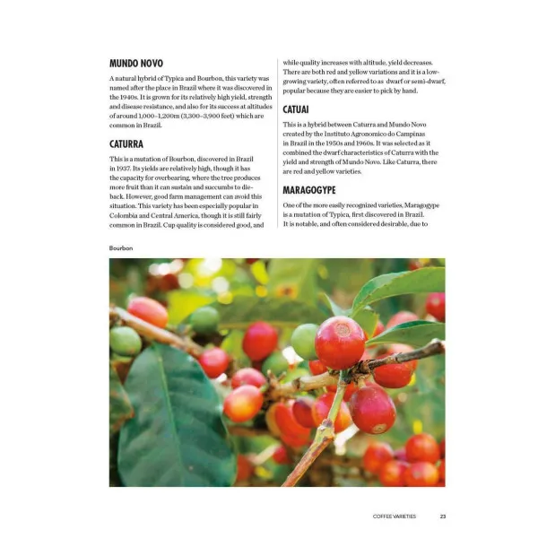 The World Atlas of Coffee : From beans to brewing - coffees explored, explained and enjoyed