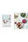 Salad Feasts : How to Assemble the Perfect Meal