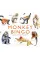 Monkey Bingo . And Other Primates