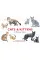 Cats & Kittens. A Memory Game