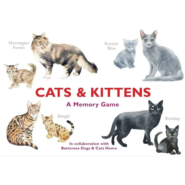 Cats & Kittens. A Memory Game