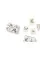 Cats & Kittens. A Memory Game