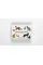 Cats & Kittens. A Memory Game