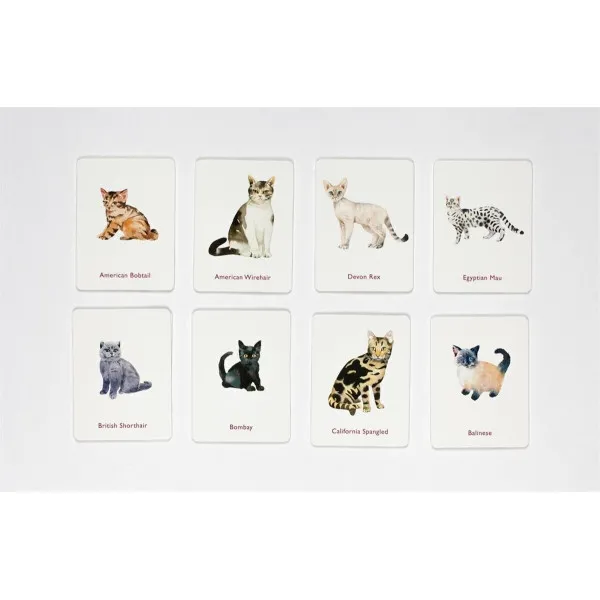 Cats & Kittens. A Memory Game