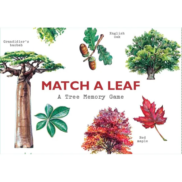 Match a Leaf . A Tree Memory Game