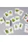 Match a Leaf . A Tree Memory Game