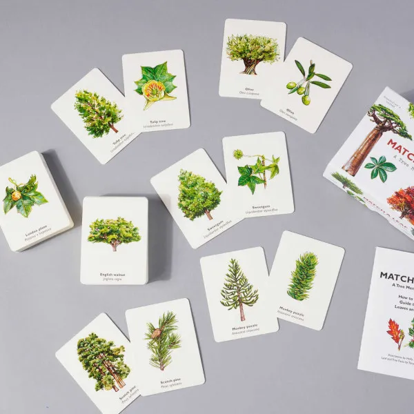 Match a Leaf . A Tree Memory Game