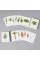 Match a Leaf . A Tree Memory Game