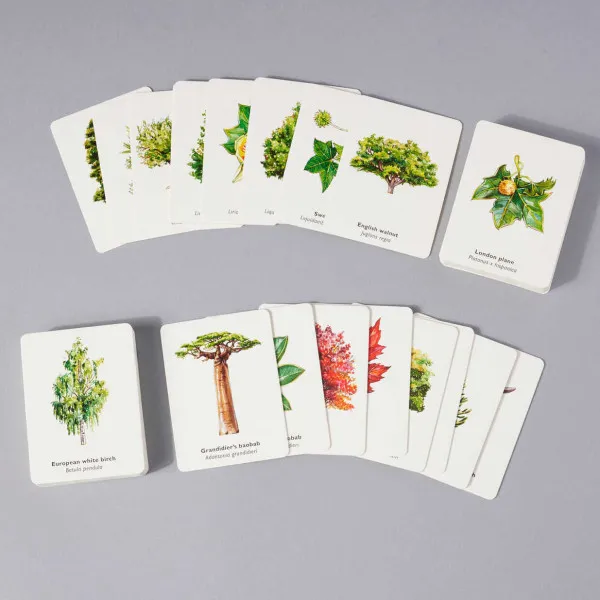Match a Leaf . A Tree Memory Game