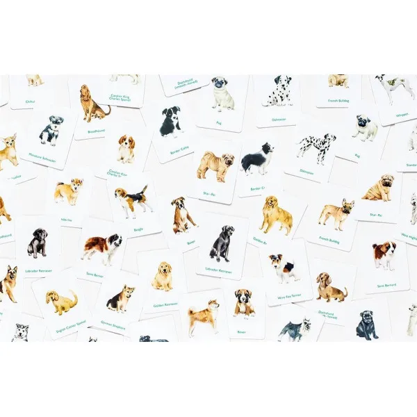 Dogs & Puppies . A Memory Game